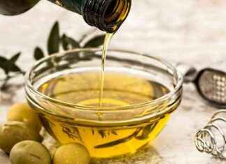 Celebrazione dell’olio d’oliva a Roma: Evento Evootrends news-18112024-185744