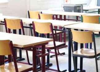 Studentessa scomparsa a Roma ritrovata: Ultimi aggiornamenti e dettagli importanti news-20112024-010449