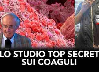 Studio Top Secret: Coaguli Sanguigni con S. Sposito (VIDEO) news-22112024-193146