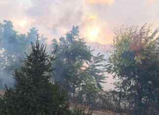 Ordinanza del Sindaco sull’Incendio Tor Cervara: Cosa Dice news-25112024-224608