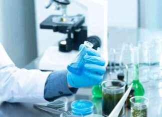 Vaccino antinfluenzale: dosi e adesioni in Regione news-30112024-233944