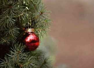 Cosa fare a Roma il 25 dicembre: Villaggi Natalizi e Eventi Speciali cosa-fare-a-roma-il-25-dicembre-villaggi-natalizi-e-eventi-speciali