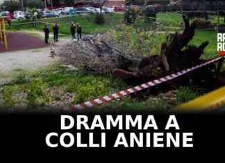 Crollo albero ai Colli Aniene: cause e video dell’incidente crollo-albero-ai-colli-aniene-cause-e-video-dellincidente