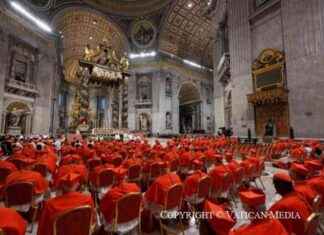 I nuovi cardinali: testimoni di fraternità, artigiani di comunione, costruttori di unità – RomaSette nuovi-cardinali-testimoni-di-fraternit-artigiani-di-comunione-costruttori-di-unit-romasette