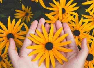 Cena romantica a San Valentino nel Lazio: agriturismo e fiori locali cena-romantica-a-san-valentino-nel-lazio-agriturismo-e-fiori-locali