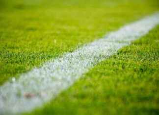 Striscione antisemita a Parma-Roma: Dichiarazioni di Lotito striscione-antisemita-a-parma-roma-dichiarazioni-di-lotito