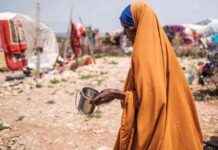 Crisi nutrizionale in Somalia: Siccità e mancanza di fondi – RomaSette crisi-nutrizionale-in-somalia-siccit-e-mancanza-di-fondi-romasette