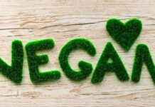 Roma Vegan City 2025: Date e Programma Completo della Manifestazione roma-vegan-city-2025-date-e-programma-completo-della-manifestazione