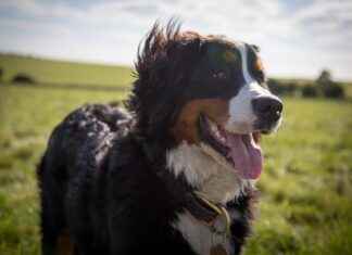 Abby Berner Profil OnlyFans – A-t-il des photos ou vidéos fuitées ? Abby Berner Profil OnlyFans – A-t-il des photos ou vidéos fuitées ?