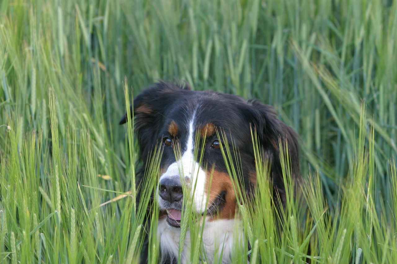 Comment Abby Berner se distingue-t-elle des autres créateurs ?