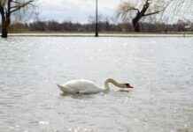 Belle Delphineed Profil OnlyFans – A-t-il des photos ou vidéos fuitées ? Belle Delphineed Profil OnlyFans – A-t-il des photos ou vidéos fuitées ?