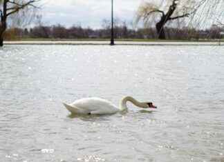 Belle Delphineed Profil OnlyFans – A-t-il des photos ou vidéos fuitées ? Belle Delphineed Profil OnlyFans – A-t-il des photos ou vidéos fuitées ?