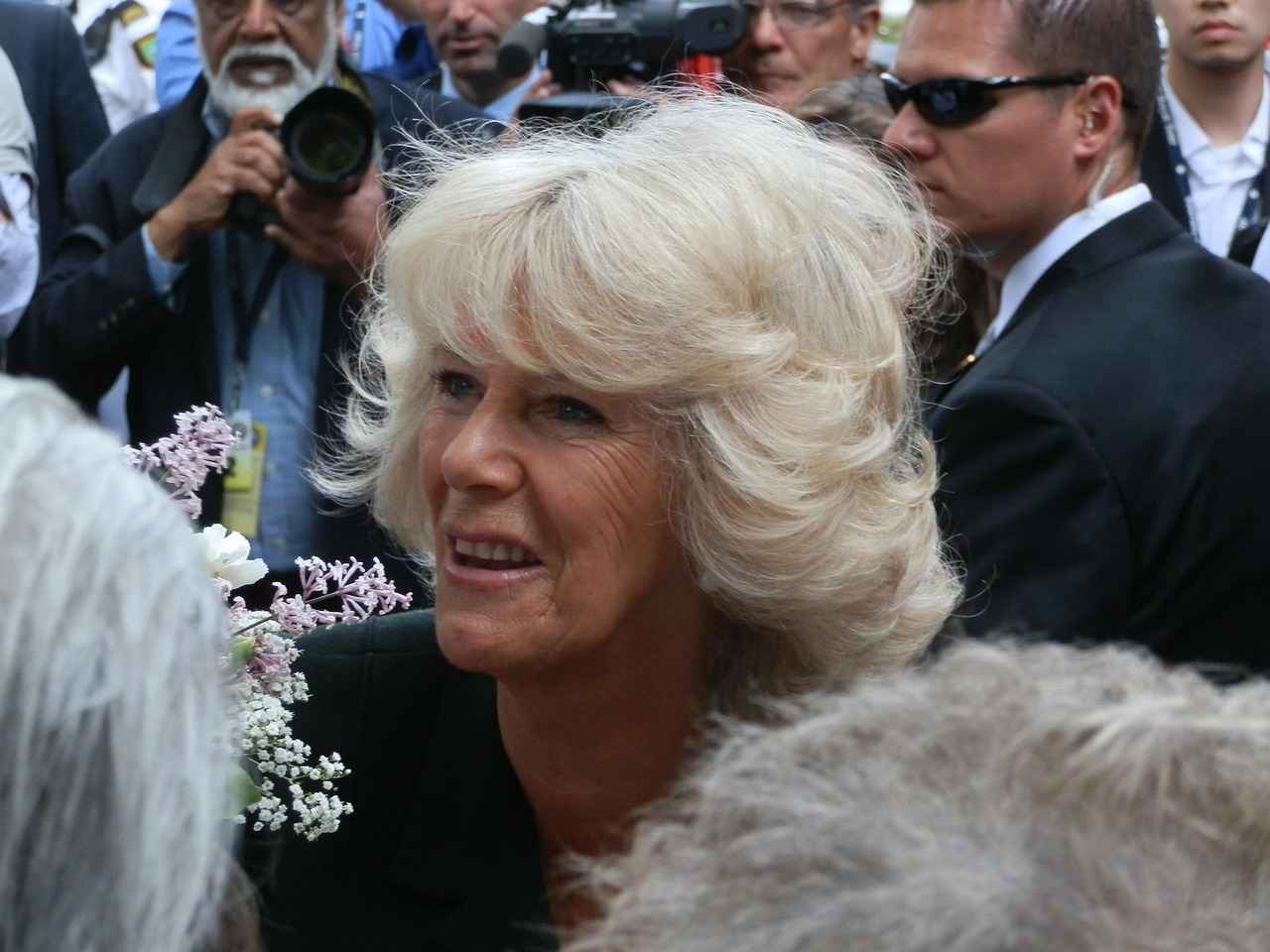 Y a-t-il des photos ou vidéos fuitées de Camilla Araujo ?