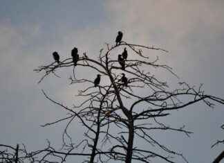 Katie Sigmond Profil OnlyFans – A-t-il des photos ou vidéos fuitées ? Katie Sigmond Profil OnlyFans – A-t-il des photos ou vidéos fuitées ?