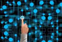 Mayseeds Profil OnlyFans – A-t-il des photos ou vidéos fuitées ? Mayseeds Profil OnlyFans – A-t-il des photos ou vidéos fuitées ?