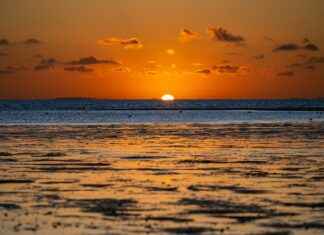 Mia Khalifa Profil OnlyFans – A-t-il des photos ou vidéos fuitées ? Mia Khalifa Profil OnlyFans – A-t-il des photos ou vidéos fuitées ?