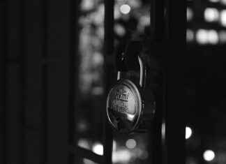 OnlyFans est-il sûr ? Tout ce que vous devez savoir avant de l’utiliser OnlyFans est-il sûr ? Tout ce que vous devez savoir avant de l'utiliser