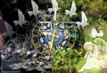 Peut-on gagner de l’argent rapidement sur OnlyFans ? Stratégies courantes utilisées par les créateurs Peut-on gagner de l'argent rapidement sur OnlyFans ? Stratégies courantes utilisées par les créateurs