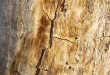 Qui peut s’inscrire sur OnlyFans ? Exigences et étapes d’inscription Qui peut s'inscrire sur OnlyFans ? Exigences et étapes d'inscription