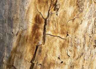 Qui peut s’inscrire sur OnlyFans ? Exigences et étapes d’inscription Qui peut s'inscrire sur OnlyFans ? Exigences et étapes d'inscription