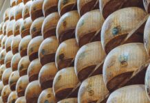 Statistiche Società Sportiva Calcio Napoli: Cosa Rivela Parma Calcio?