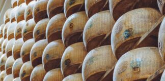 Statistiche Società Sportiva Calcio Napoli: Cosa Rivela Parma Calcio?