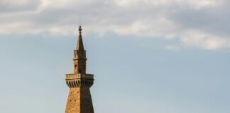 Statistiche Olympiacos Fiorentina: Scopri I Dati Sorprendenti!