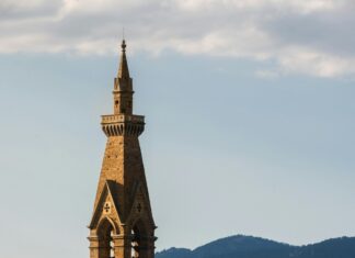 Statistiche Olympiacos Fiorentina: Scopri I Dati Sorprendenti!