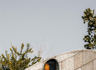 Statistiche Giocatore Della Partita Boston Celtics – Miami Heat: Chi Ha Sorpreso?