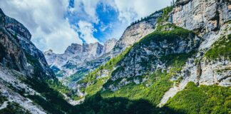 Statistiche Campionato Europeo Di Calcio: Scopri I Dati Sorprendenti!