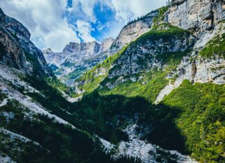 Statistiche Campionato Europeo Di Calcio: Scopri I Dati Sorprendenti!