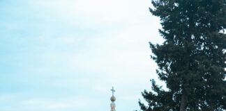 Statistiche Società Sportiva Lazio: Scopri Il Confronto Con AC Milan