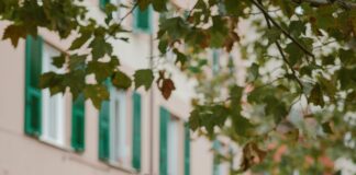 Statistiche Genoa – Inter: Scopri Tutti I Dati Sorprendenti!