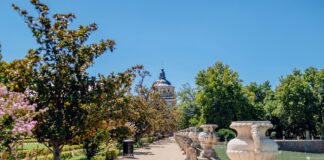 Statistiche Borussia Dortmund Real Madrid: Scopri Dati Sorprendenti!