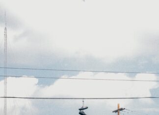 Statistiche Giocatore Della Partita Lakers – Denver Nuggets: Chi Ha Brillato?