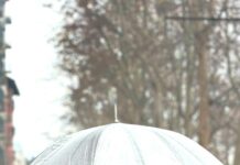 Statistiche Inter Parma Calcio 1913: Scopri Dati Sorprendenti!