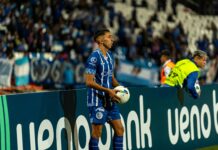 Statistiche Atalanta: Scopri I Segreti Della Juventus Football Club