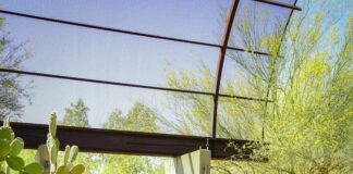 Statistiche Giocatore Della Partita Phoenix Suns – Lakers: Chi Ha Brillato?