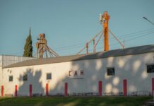 Statistiche Club Brugge: Scopri Tutti I Segreti Contro Juventus Football Club