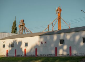 Statistiche Juventus Football Club: Scopri Tutti I Segreti Toro