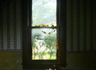 Statistiche Giocatore Della Partita Dallas Mavericks – Clippers: Chi Ha Brillato?