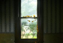 Statistiche Giocatore Della Partita Clippers Dallas Mavericks: Chi Ha Brillato?