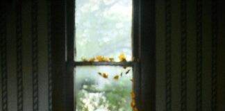 Statistiche Giocatore Della Partita Clippers Dallas Mavericks: Chi Ha Brillato?