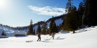 Statistiche Società Sportiva Lazio: Segreti Svelati Sul Bayern Monaco