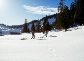 Statistiche Società Sportiva Lazio: Segreti Svelati Sul Bayern Monaco