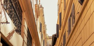 Statistiche Associazione Calcio Monza: Cosa Rivelano Contro AS Roma?