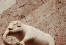 Statistiche Inter – Cagliari Calcio: Scopri Dati Sorprendenti!