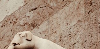 Statistiche Inter – Cagliari Calcio: Scopri Dati Sorprendenti!