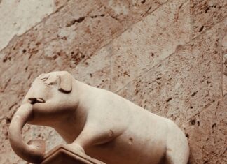 Statistiche Inter – Cagliari Calcio: Scopri Dati Sorprendenti!