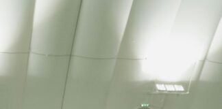 Statistiche Torino Football Club: Scopri I Segreti Della Squadra